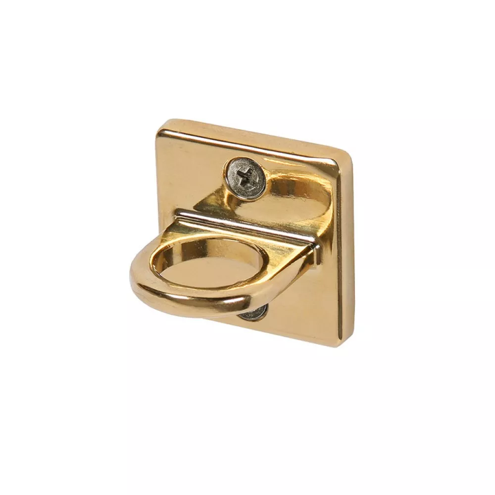 Wandhaak Goud voor afzetkoord