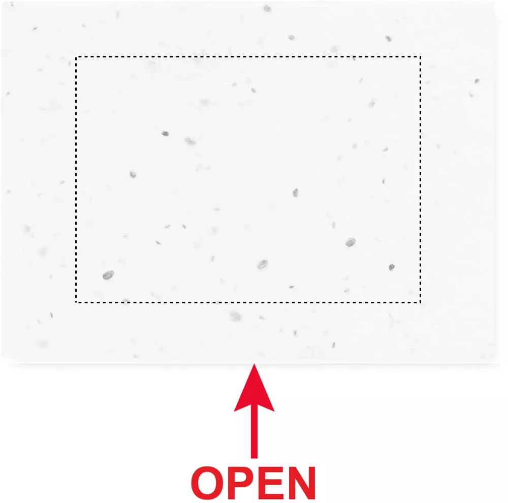 Tampondruk Tampondruk