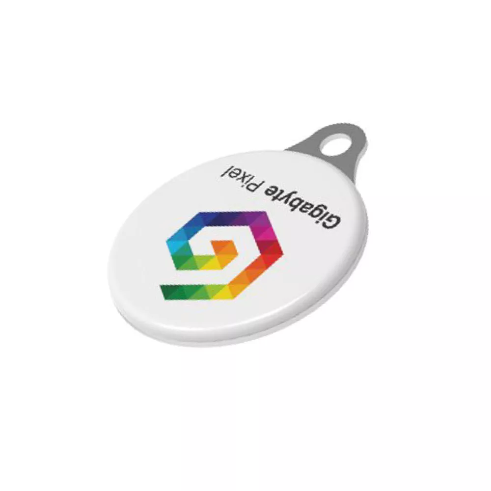 Muntje zonder hanger