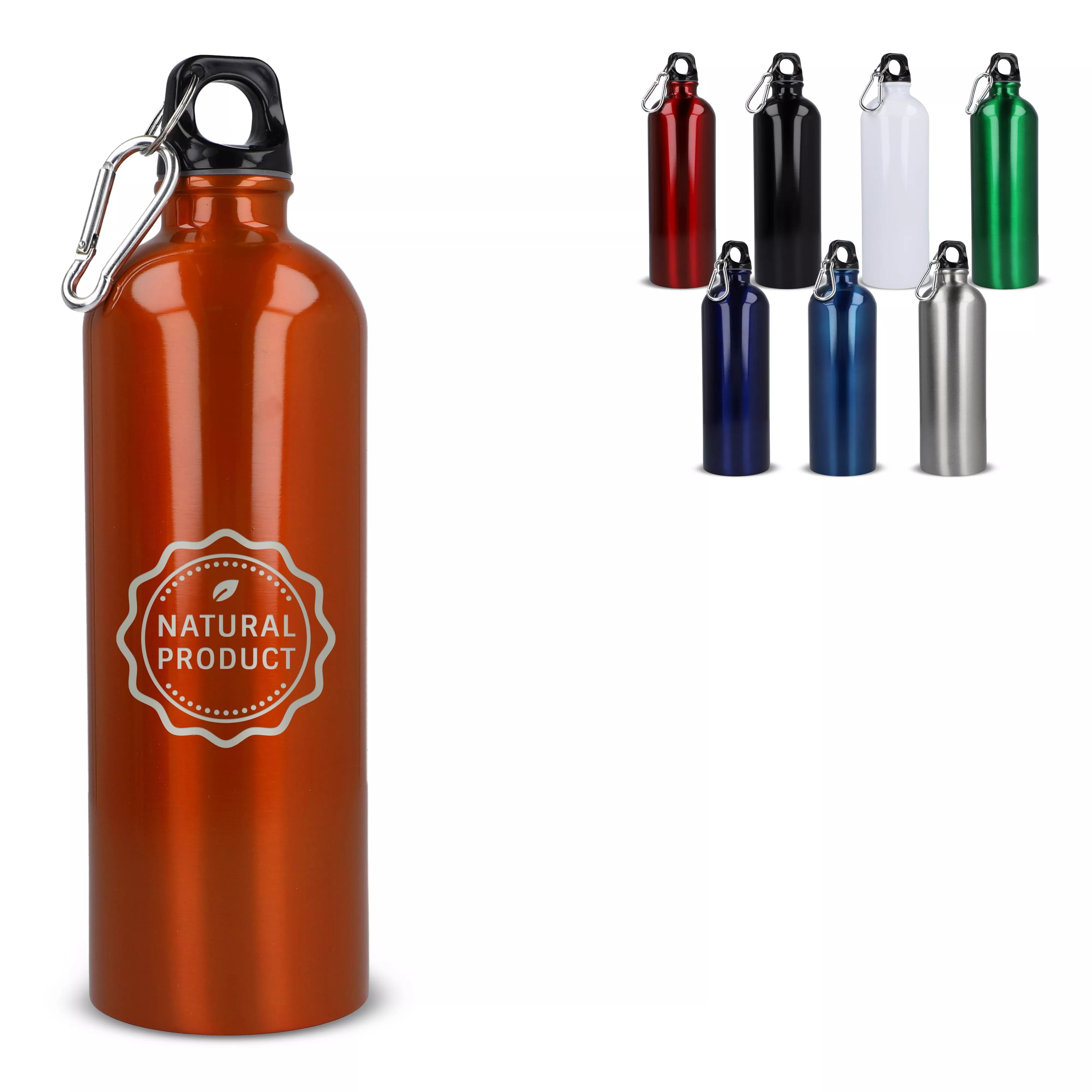 R-SS enkelwandige fles met karabijnhaak 750ml