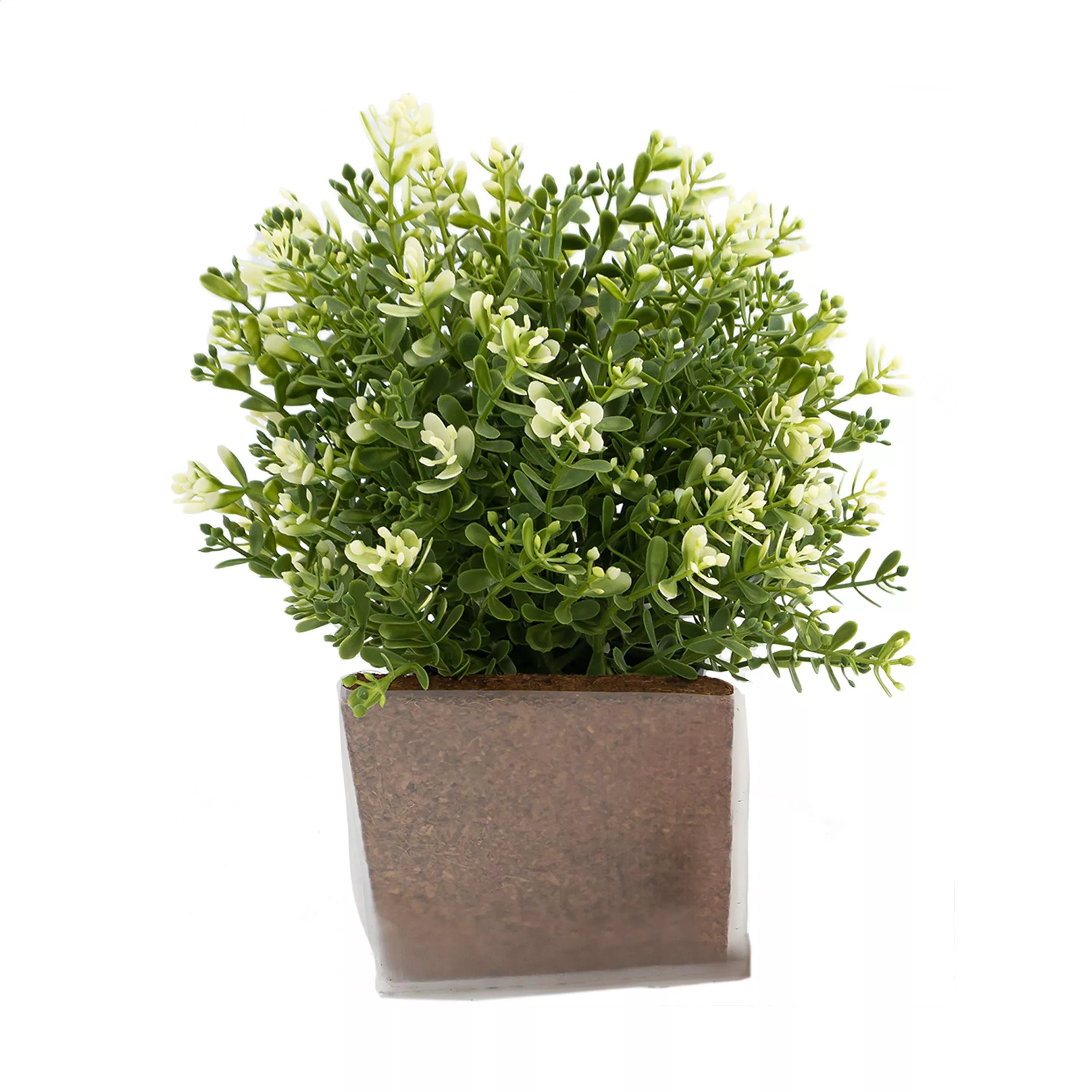 Green Seed Bags bloemzaadjes