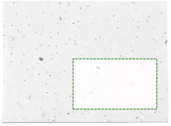 Tampondruk Tampondruk