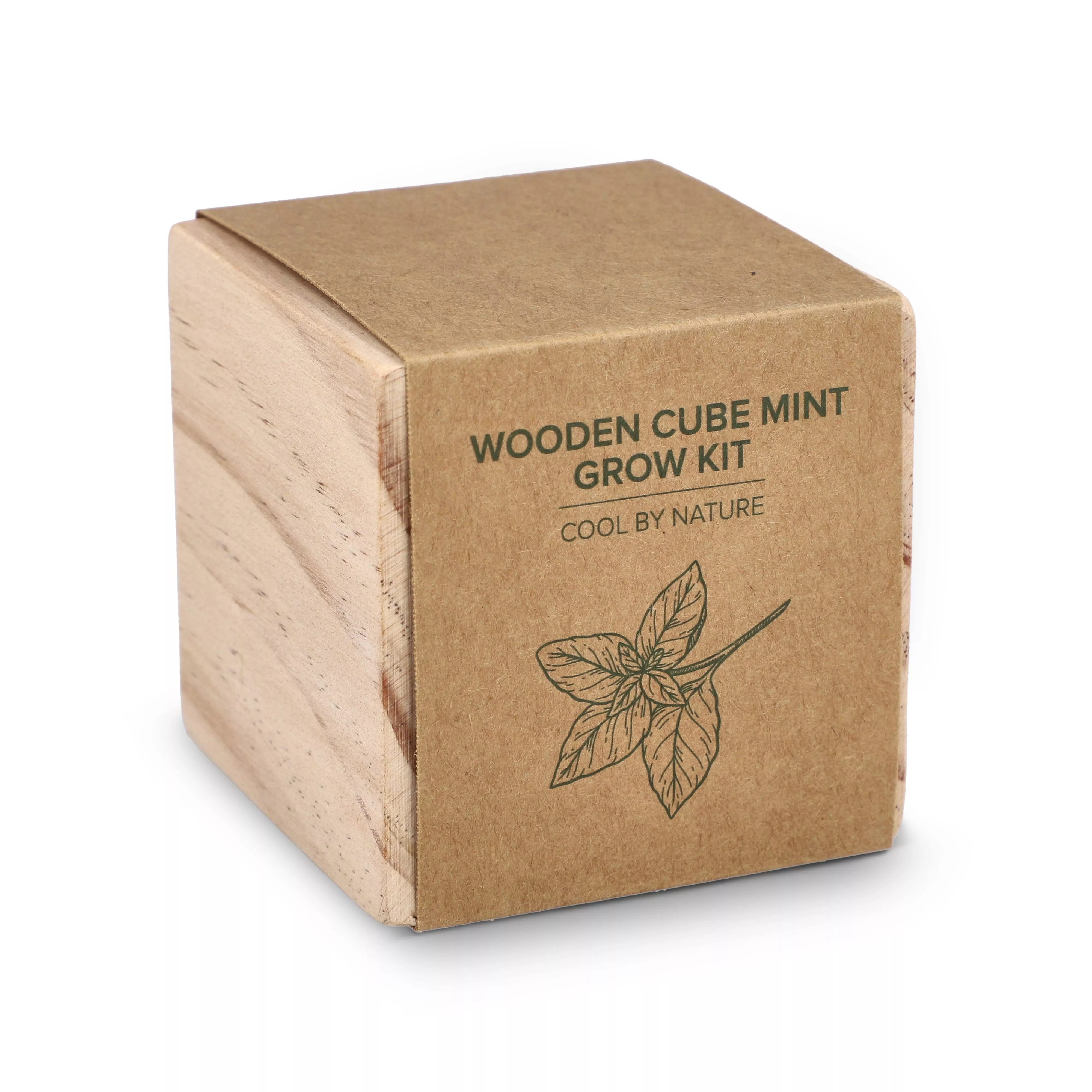 FSC Houten Plantenbak Set – Mint