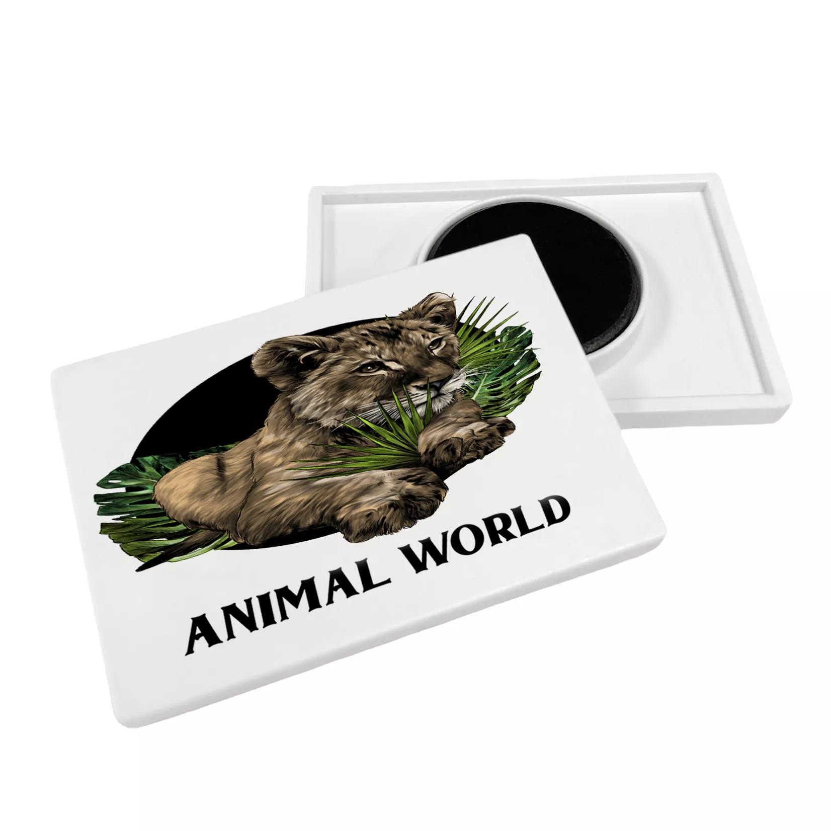 Whiteboard magneet rechthoek 65 x 45 mm