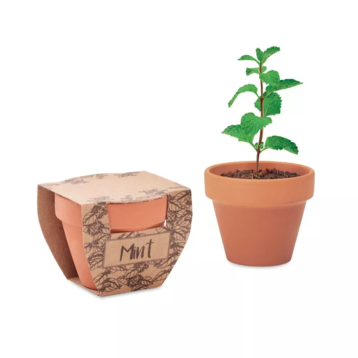 MINT POT Potje munt