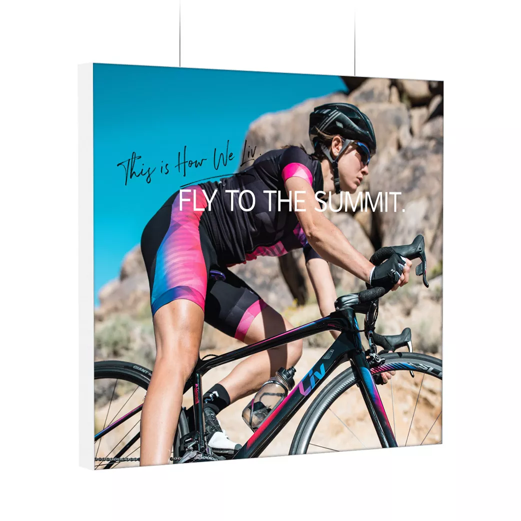 100 x 100 cm (bxh) - row8