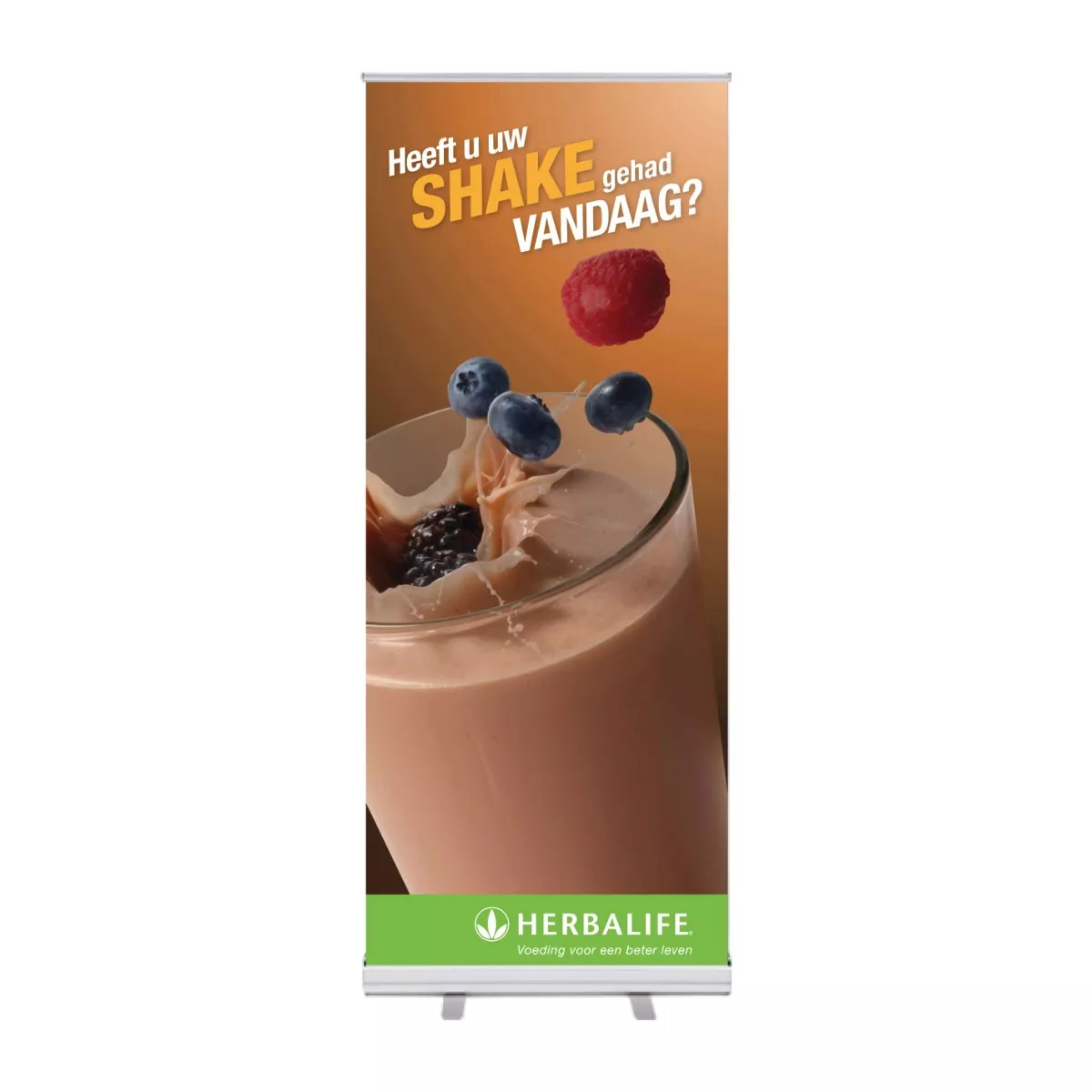 Nederlands / Néerlandais