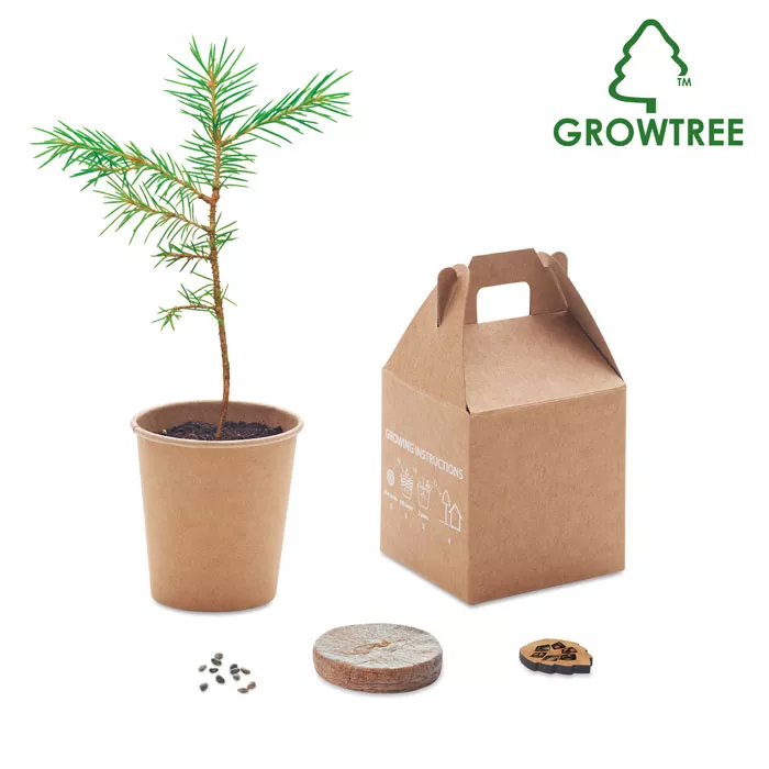 GROWTREE™ Pijnboom set