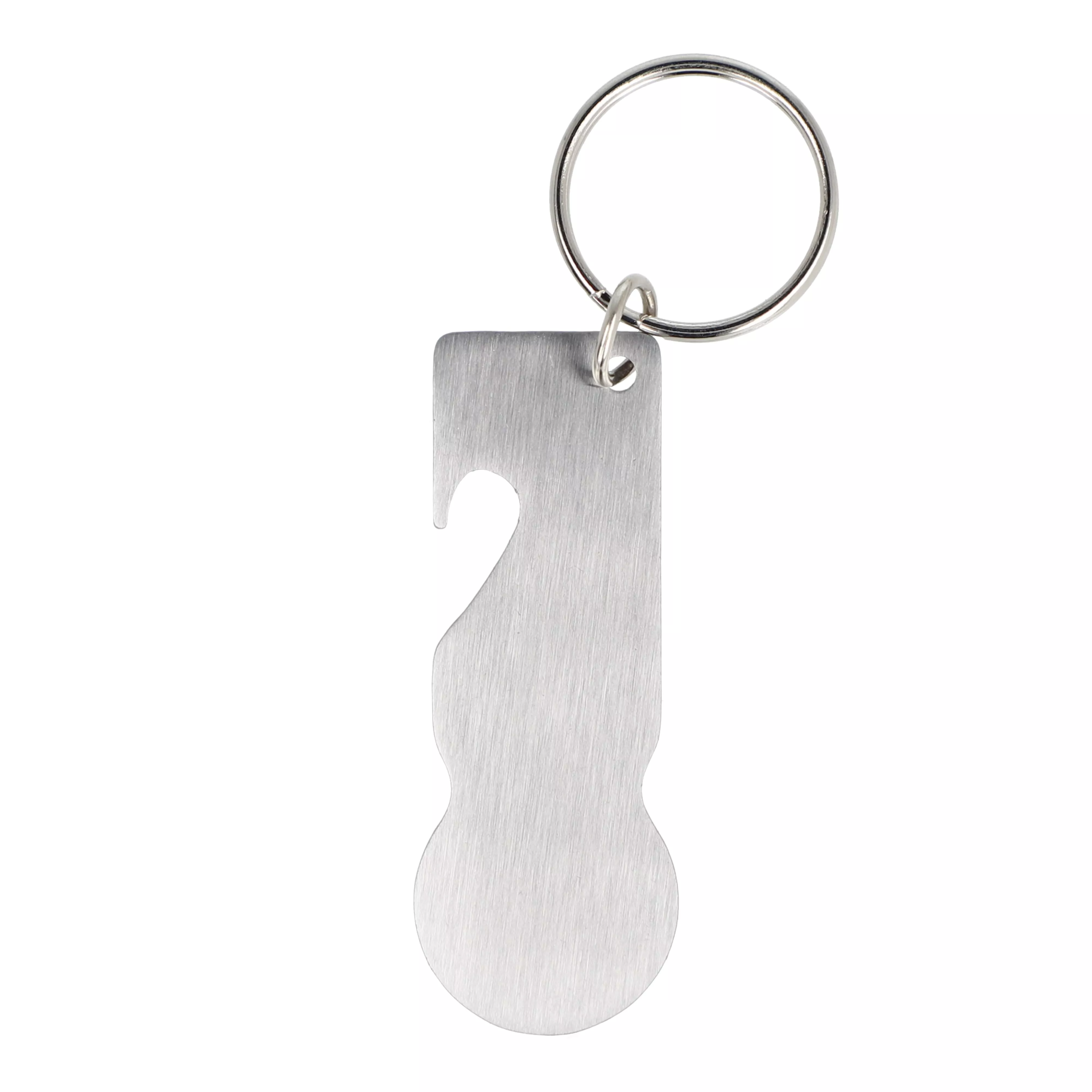 RVS winkelwagenmunt sleutelhanger