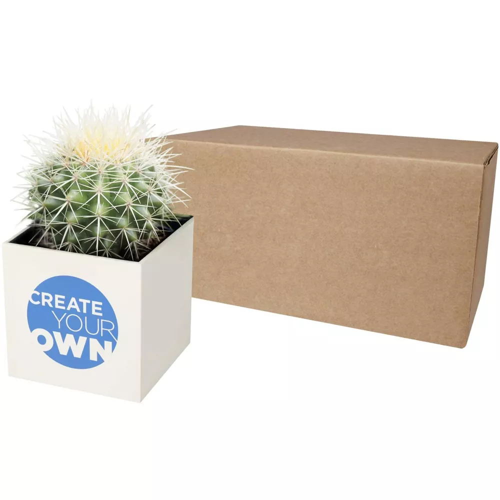 Hey Pots aluminium bloempot, cactus