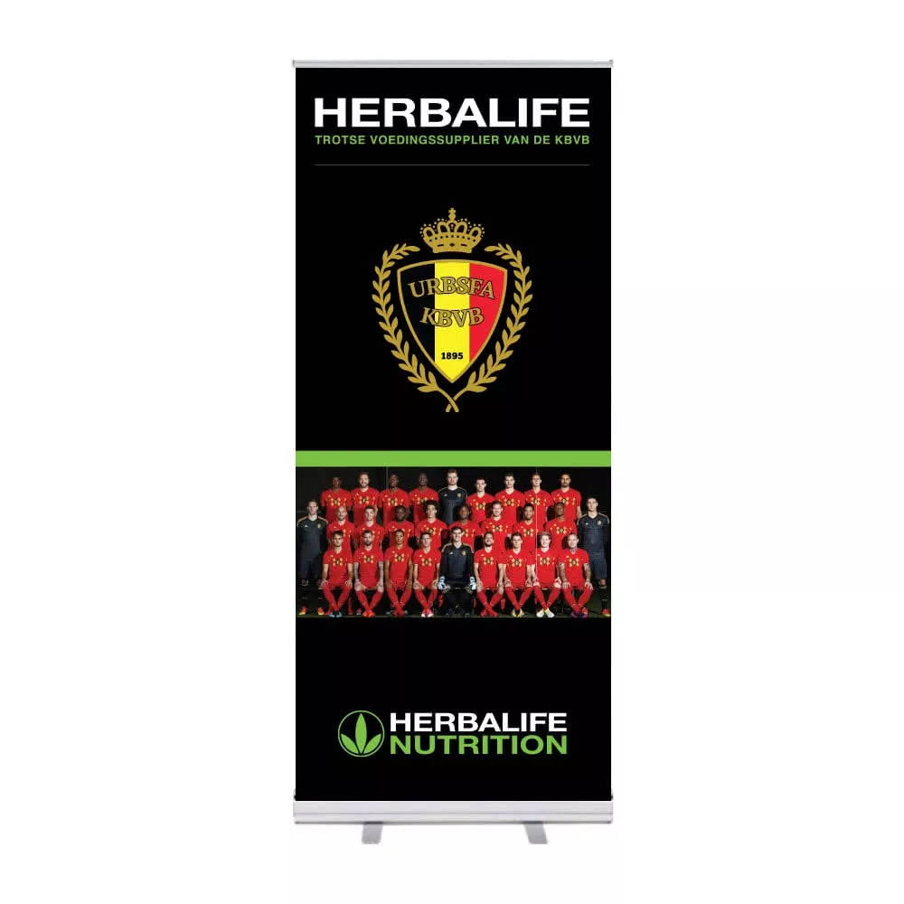 Nederlands / Néerlandais