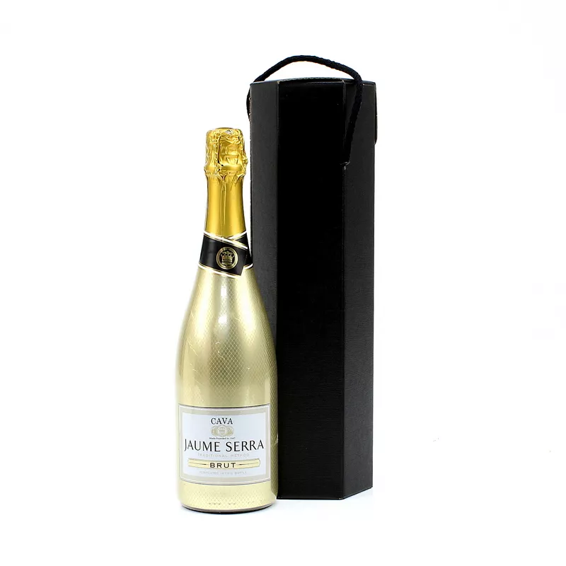 Gouden Bubbels Moment - Jaume Serra Gold