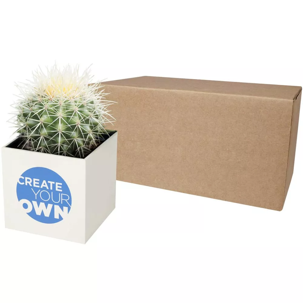 Hey Pots aluminium bloempot, cactus