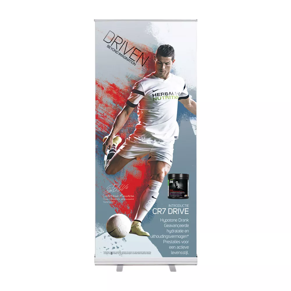 Nederlands / Néerlandais