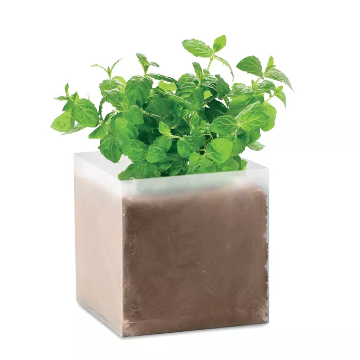 MINT Compost met munt zaadjes