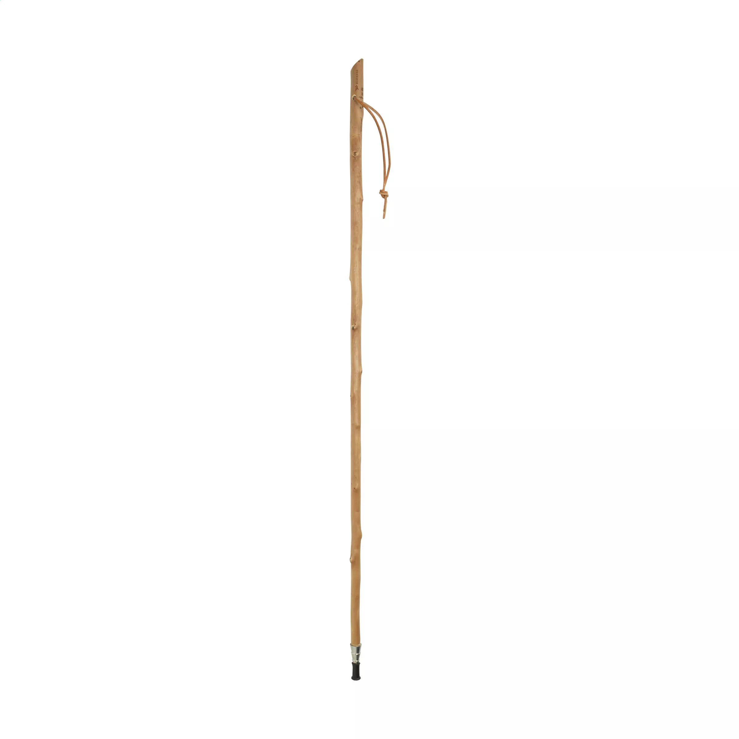 CleanWalk Walkingstick wandelstok