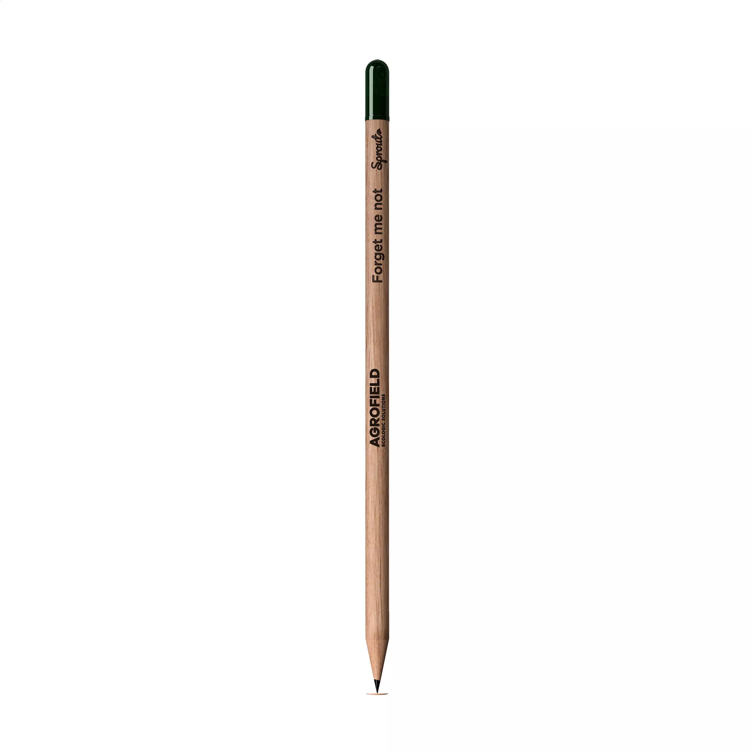 Forget me not - row3