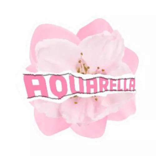 Aquarella 