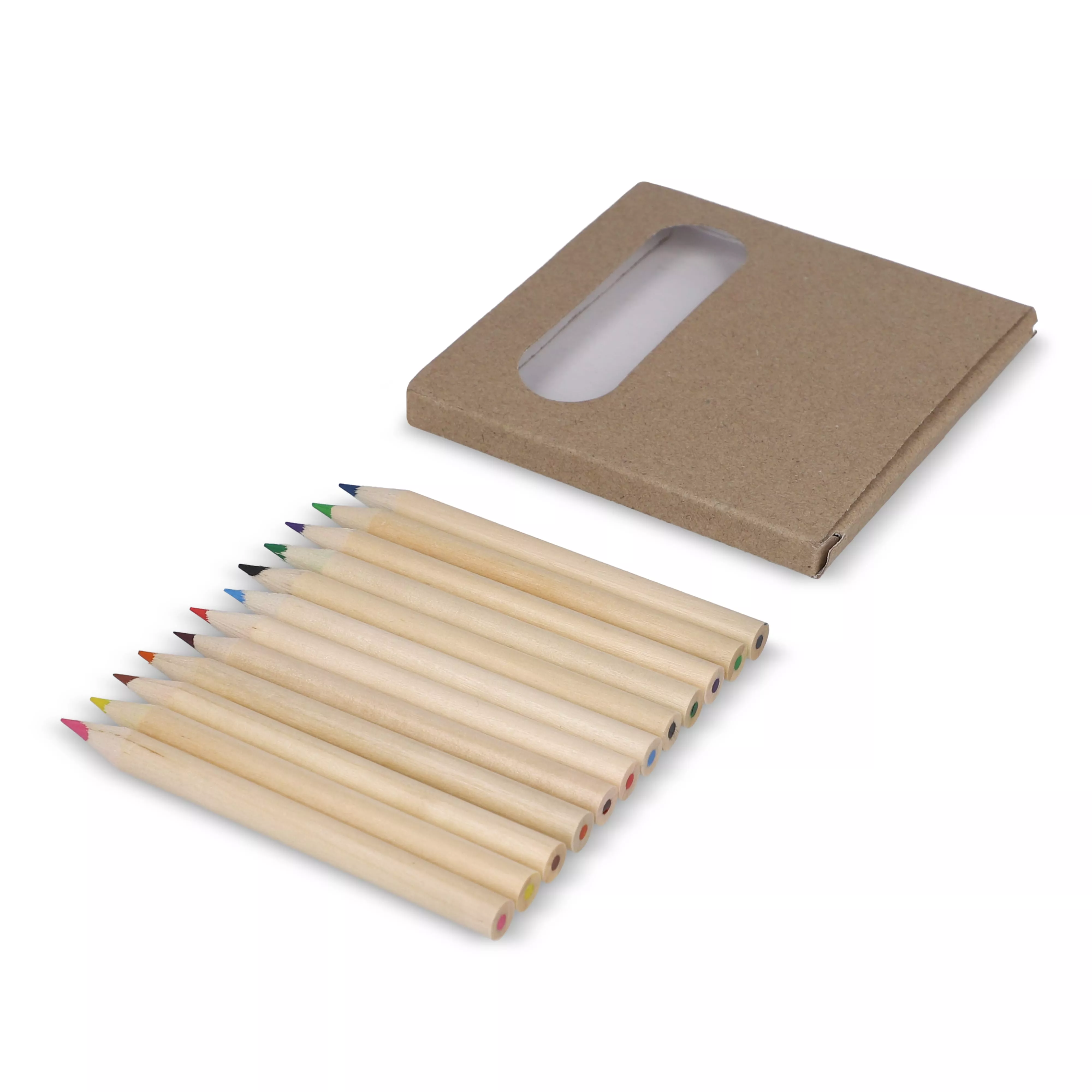 12 kleurpotloden in kraft doosje