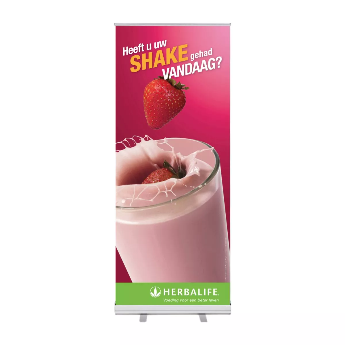 Nederlands / Néerlandais