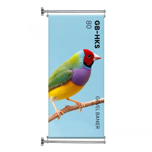 RVS Gevel Banier Haaks 80 cm